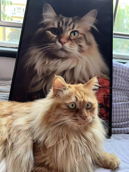 The Young King – Custom designed pet canvas